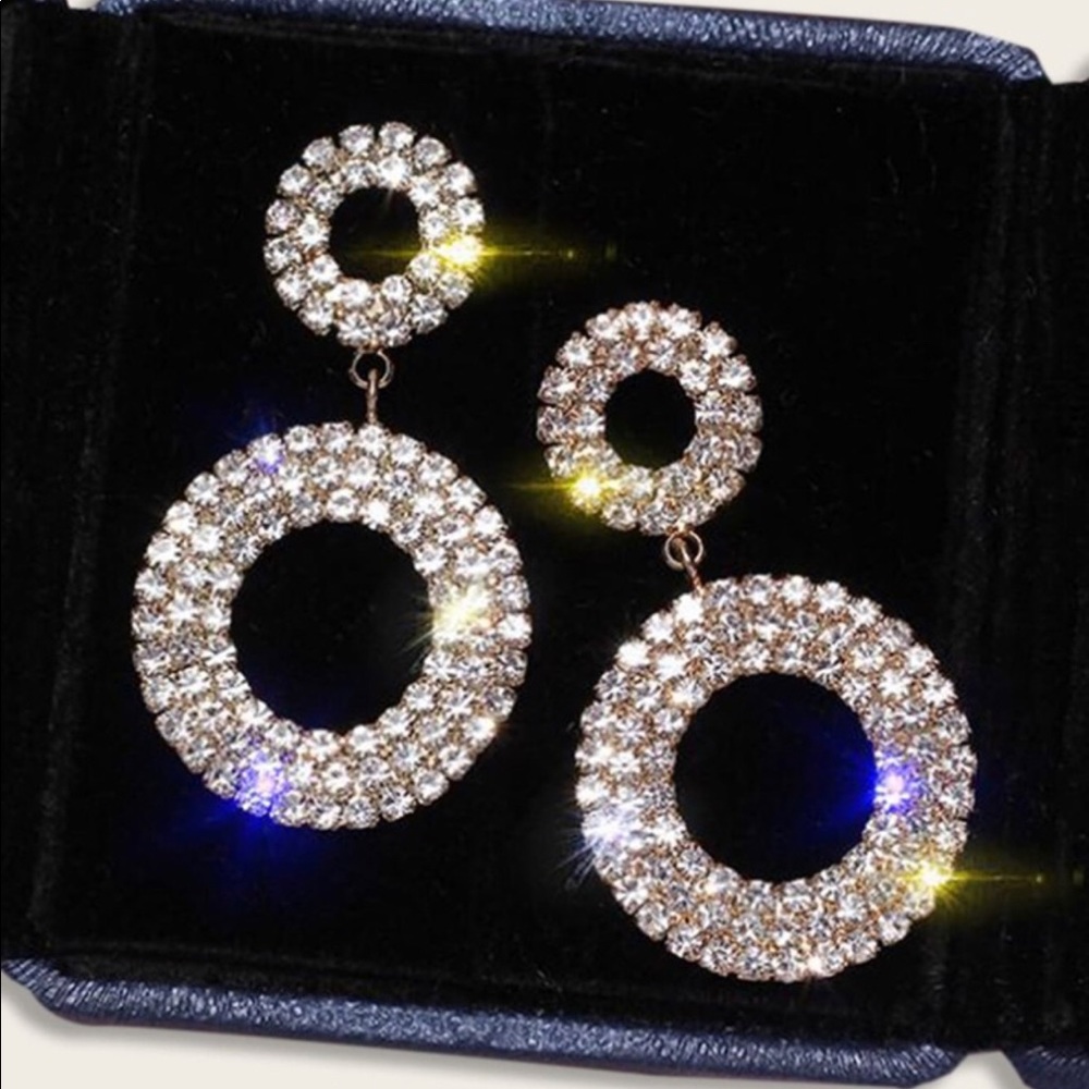 Double round decor drop earrings